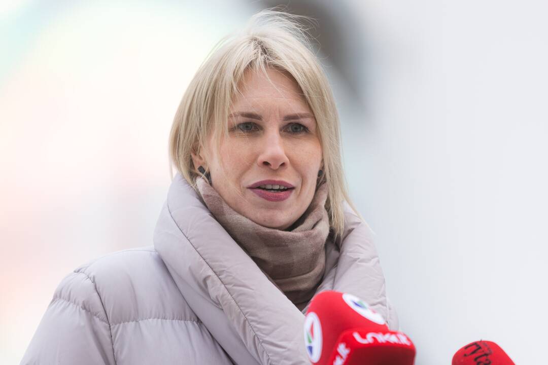 Vilniaus miesto 699-ojo gimtadienio pristatymas