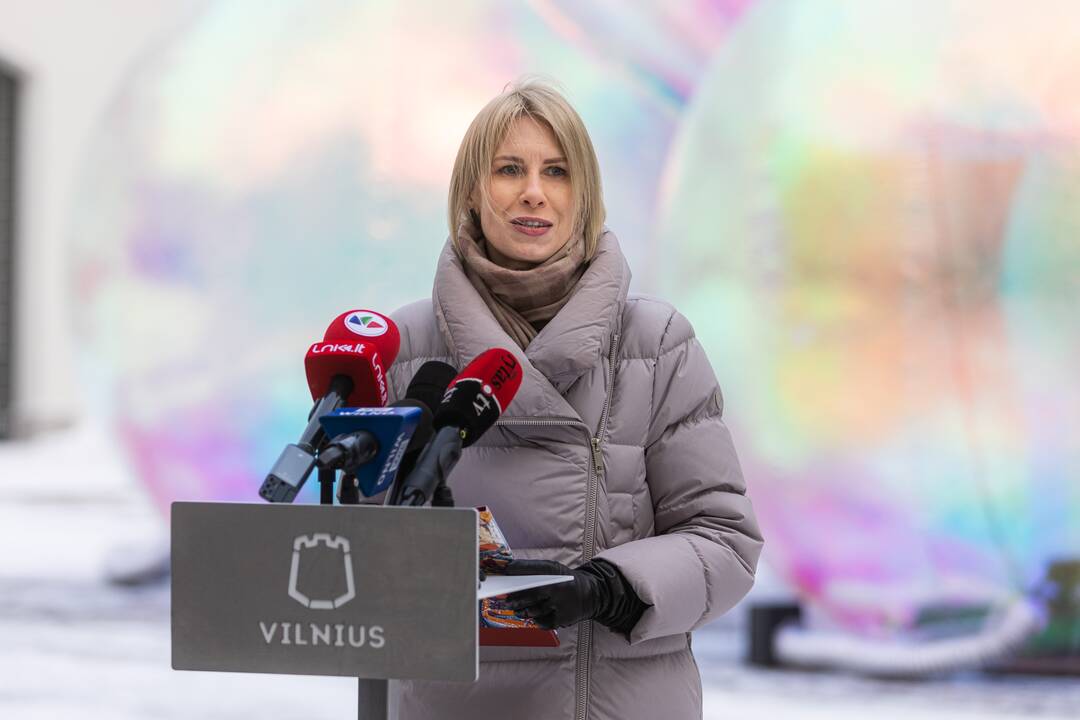 Vilniaus miesto 699-ojo gimtadienio pristatymas