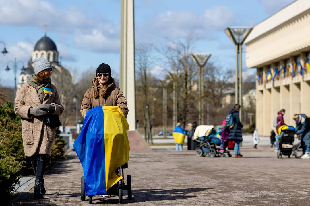 Mamų eitynės Gedimino prospekte