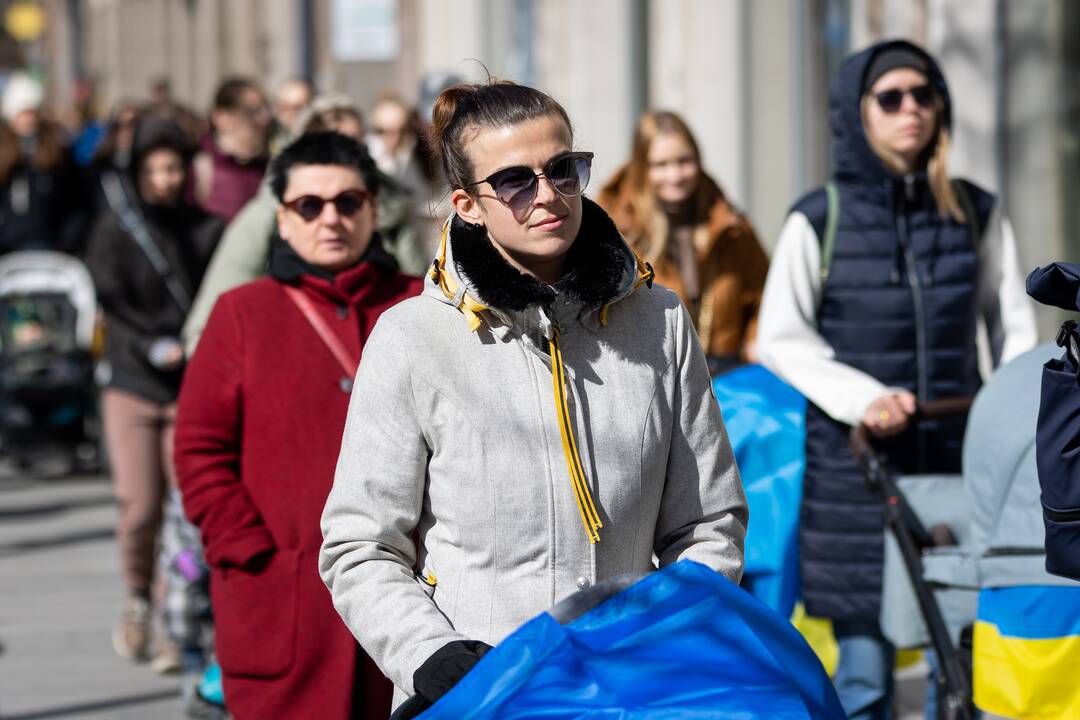 Mamų eitynės Gedimino prospekte