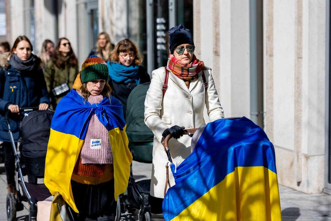Mamų eitynės Gedimino prospekte