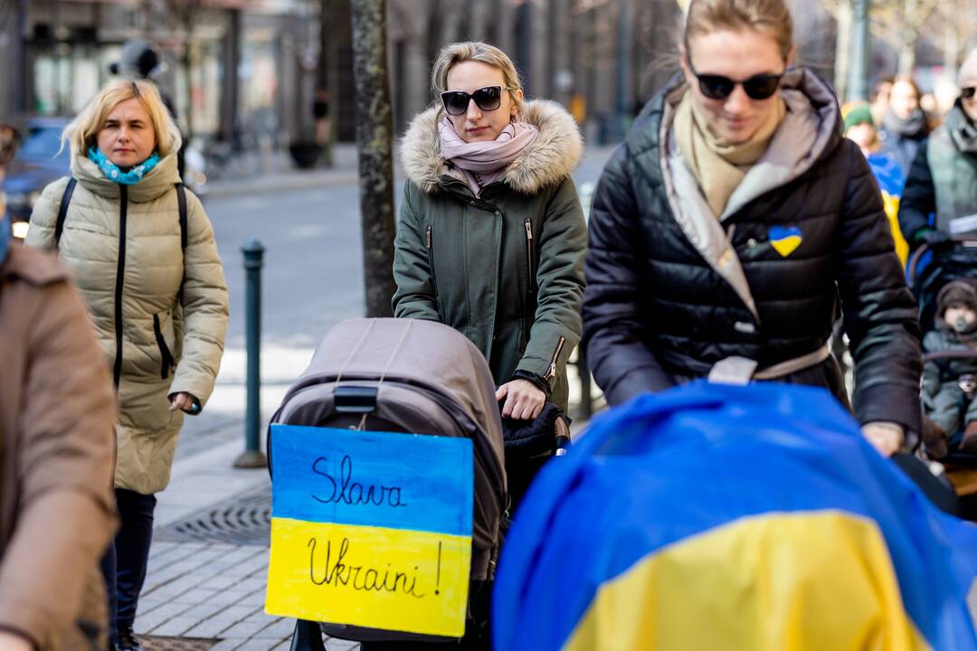 Mamų eitynės Gedimino prospekte