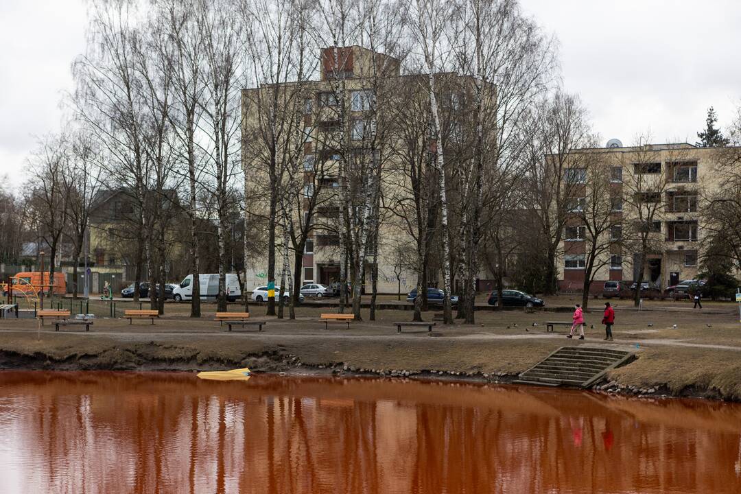 Prie Rusijos ambasados tvenkinys nudažytas raudona spalva