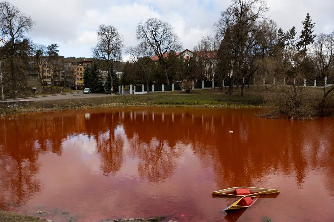 Prie Rusijos ambasados tvenkinys nudažytas raudona spalva