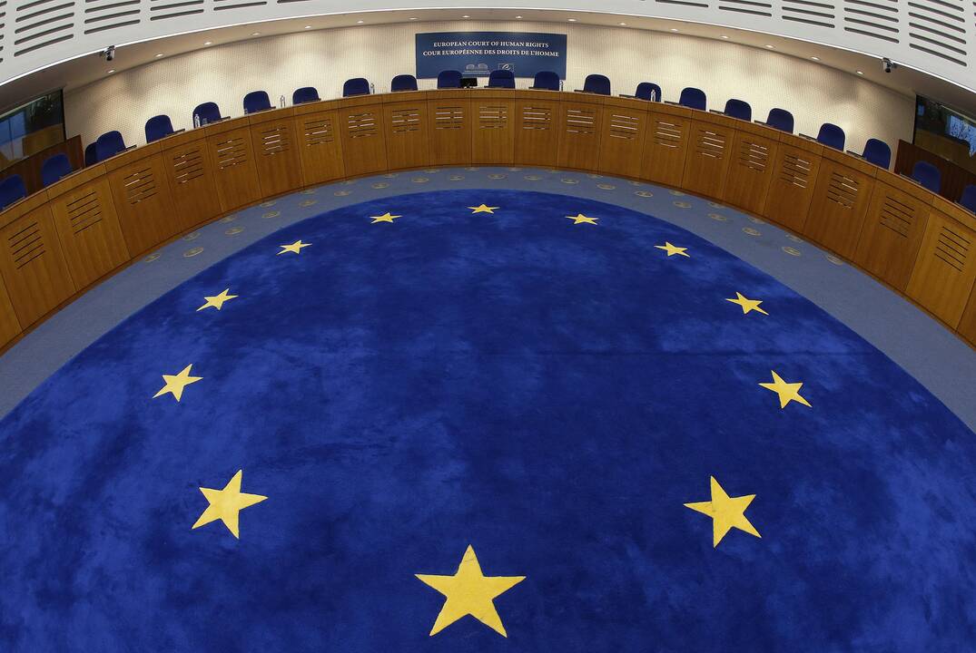 Europos Žmogaus Teisių Teisme Lietuvai laikinai turėtų atstovauti K. Bubnytė