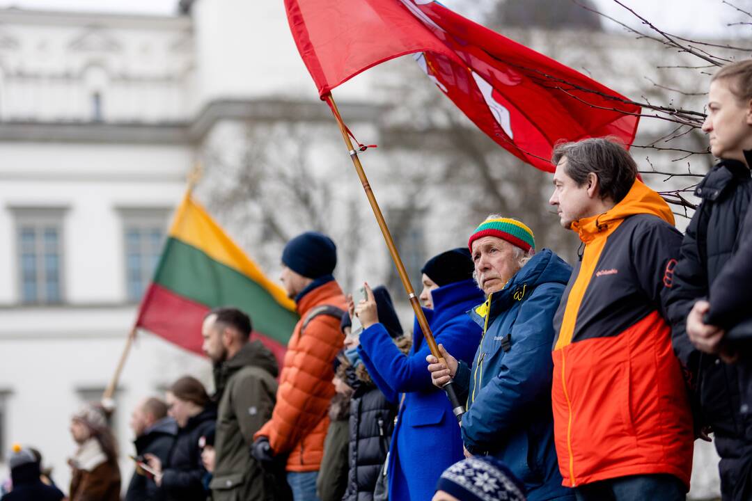 Lietuvos vėliavos dienos ceremonija