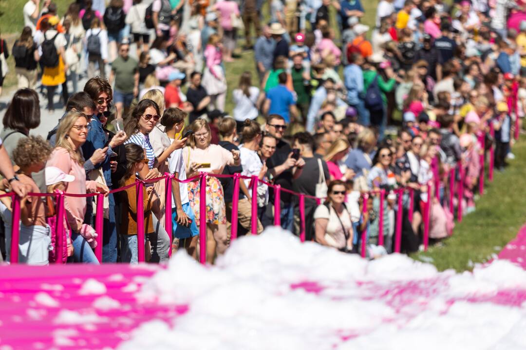 Šaltibarščių festivalis Vilniuje