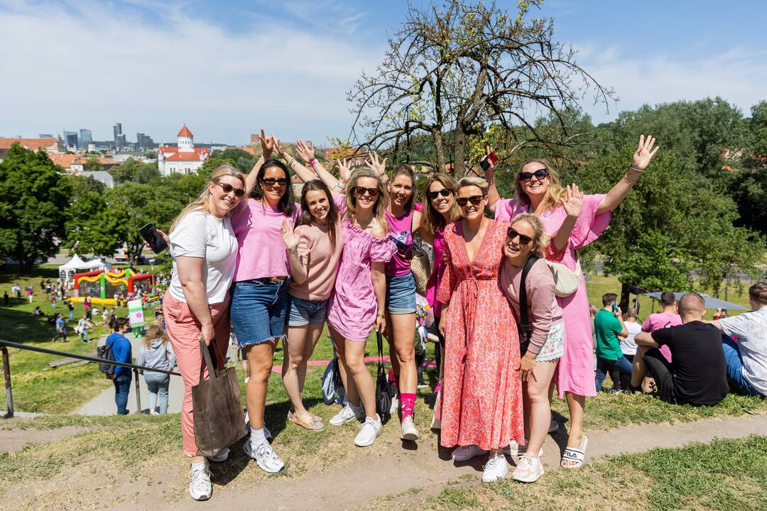 Šaltibarščių festivalis Vilniuje