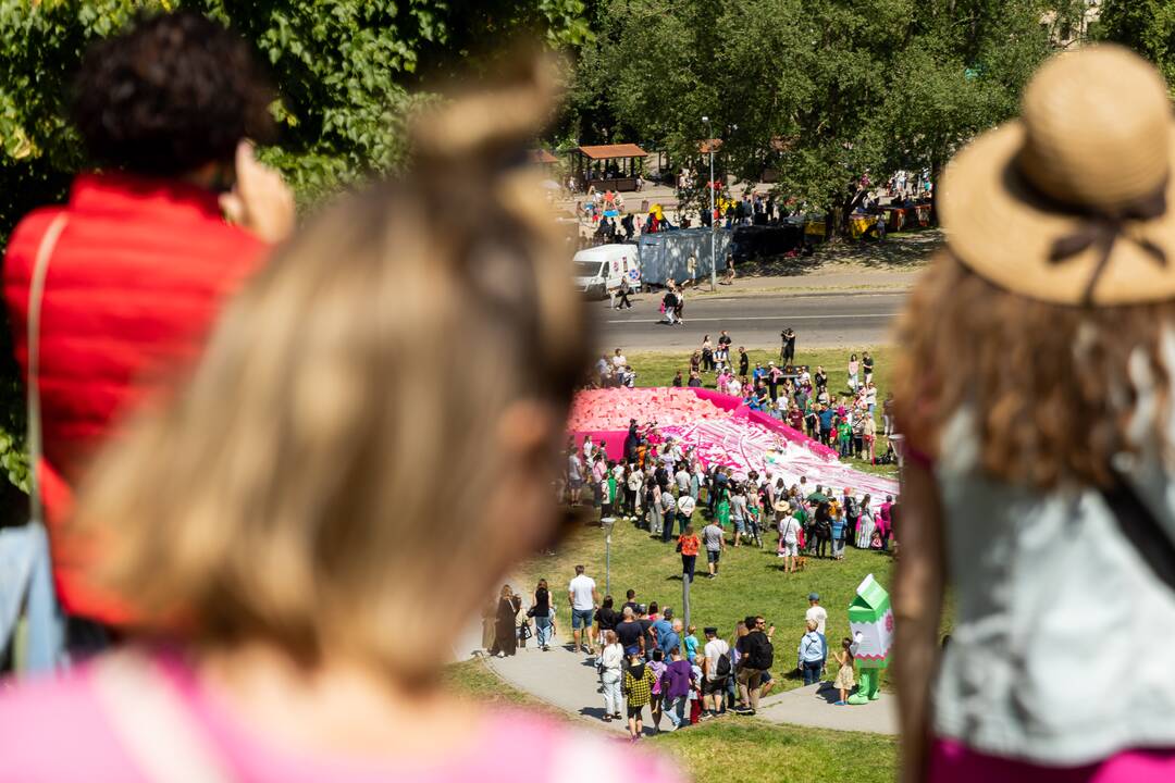 Šaltibarščių festivalis Vilniuje