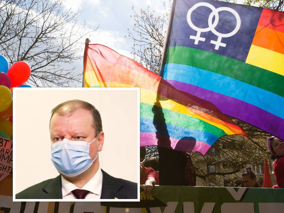 Seimo pirmininkė: S. Skvernelio priekaištai dėl Partnerystės įstatymo – neteisingi