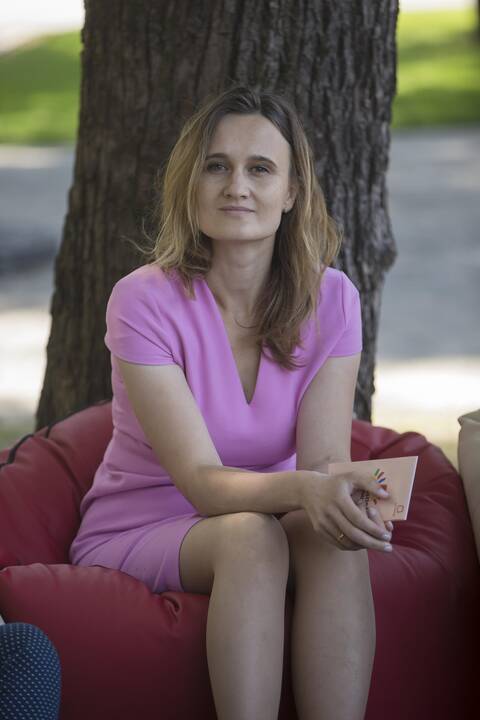 Pristatė artėjančių „Sostinės dienų“ renginius