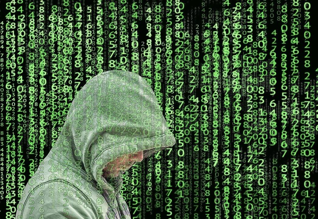 JAV kaltina Latvijos pilietę priklausius programišių grupuotei