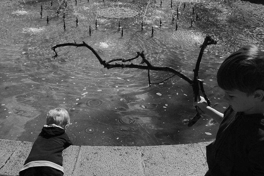 Fotografė D. Dagienė laimėjo 2-ąją vietą prestižiniame konkurse