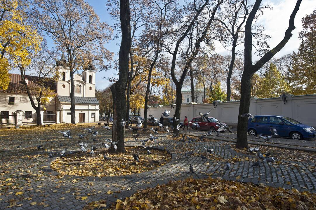Savaitės orai: nešals ir palepins saulutė