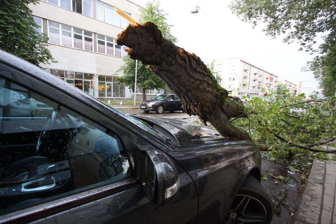 Ugniagesiai įspėja saugotis stipraus vėjo, kai kur jau lūžo medžiai
