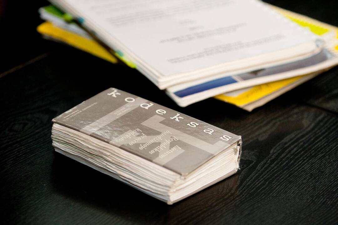 Dailininkės nužudymo byloje – noras keisti kaltinimą ir narkomanų liudijimai