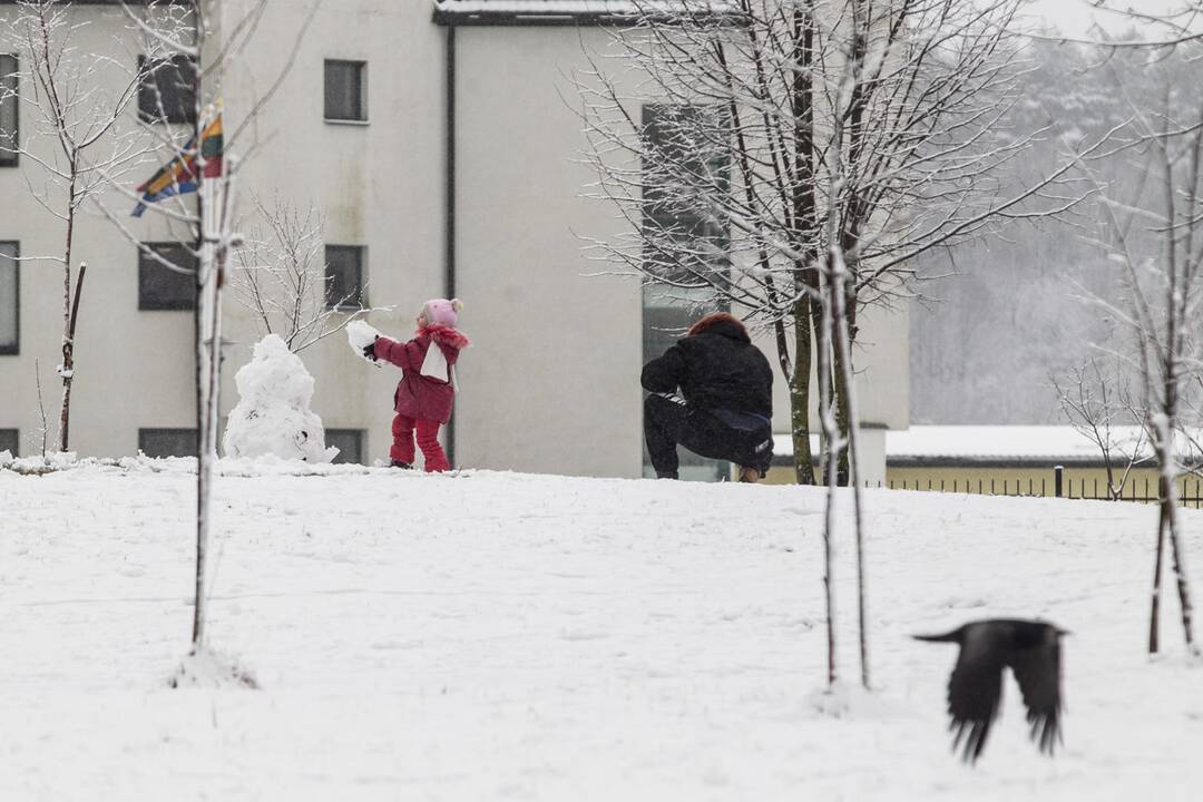 Savaitės orai: po žiemiško pirmadienio – vėl permainos