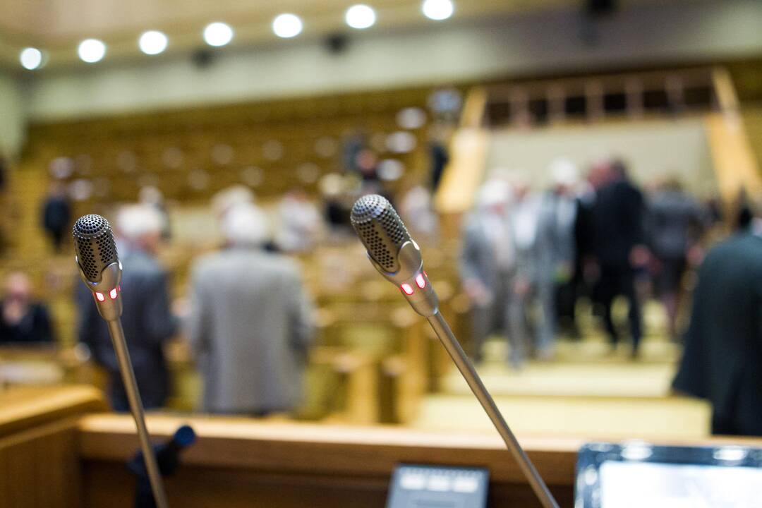 Seimo nuolatiniu atstovu ES skiriamas M. Maldeikis