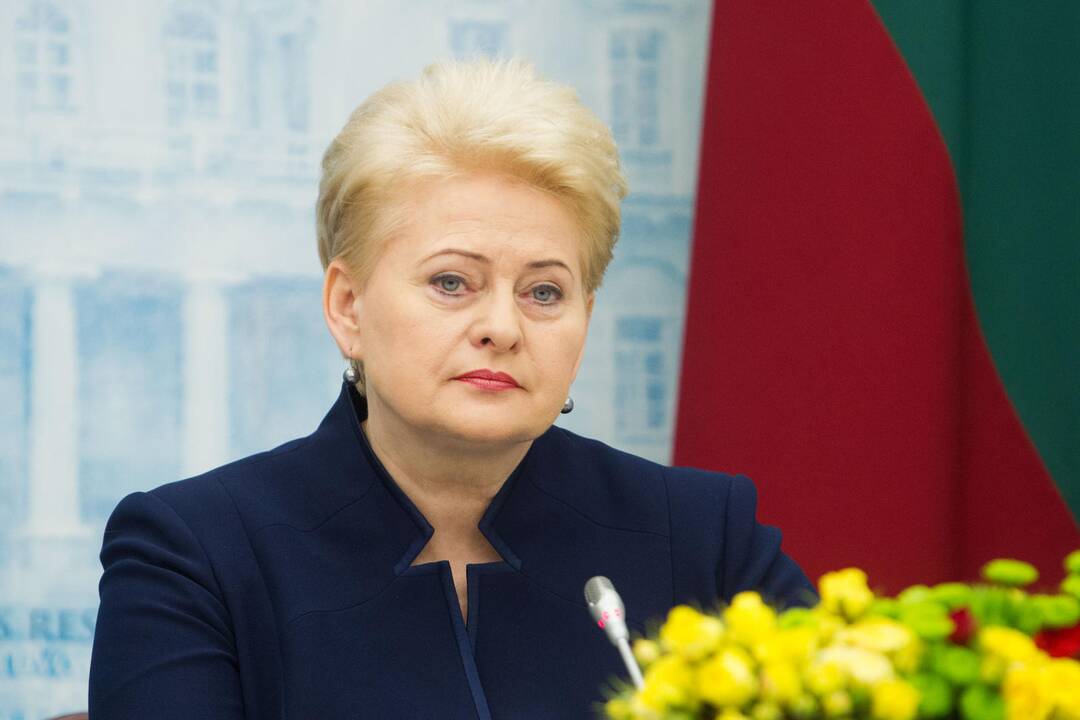 D. Grybauskaitė: vakarykštė situacija Vilniuje atrodė apgailėtinai