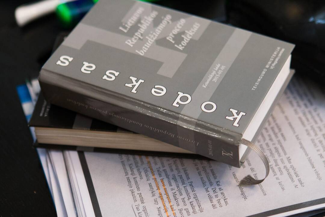 Verslininkas lieka nuteistas už papirkimą, bet mokės mažesnę baudą