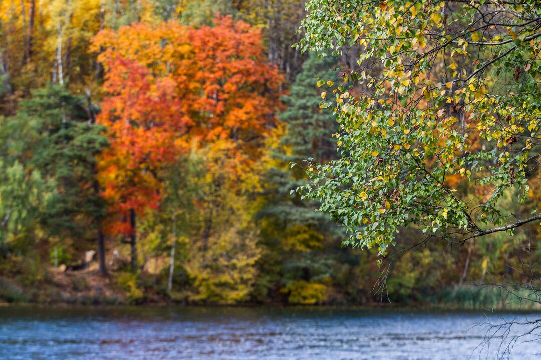 Mūšis dėl orų prognozių: klimatologai atsikirto kritikams