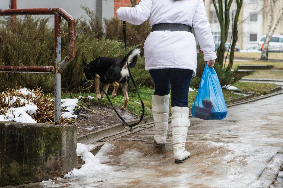 Savaitės pabaigoje – atšilimas ir slidūs iššūkiai