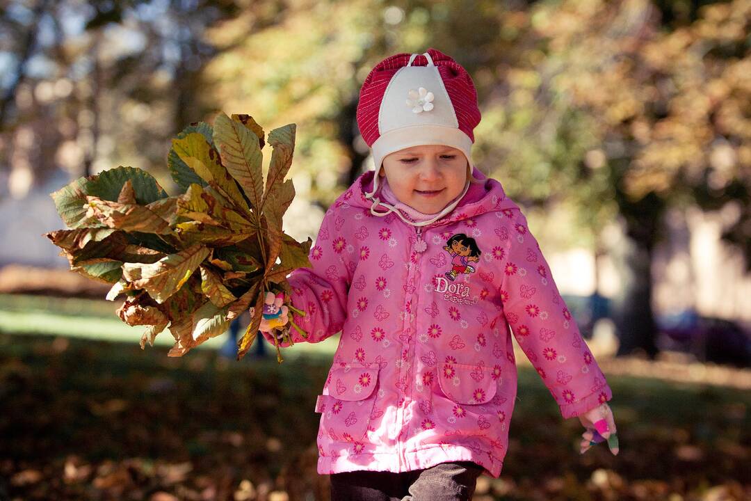 Savaitgalį galėsime pasidžiaugti auksinio rudens spalvomis