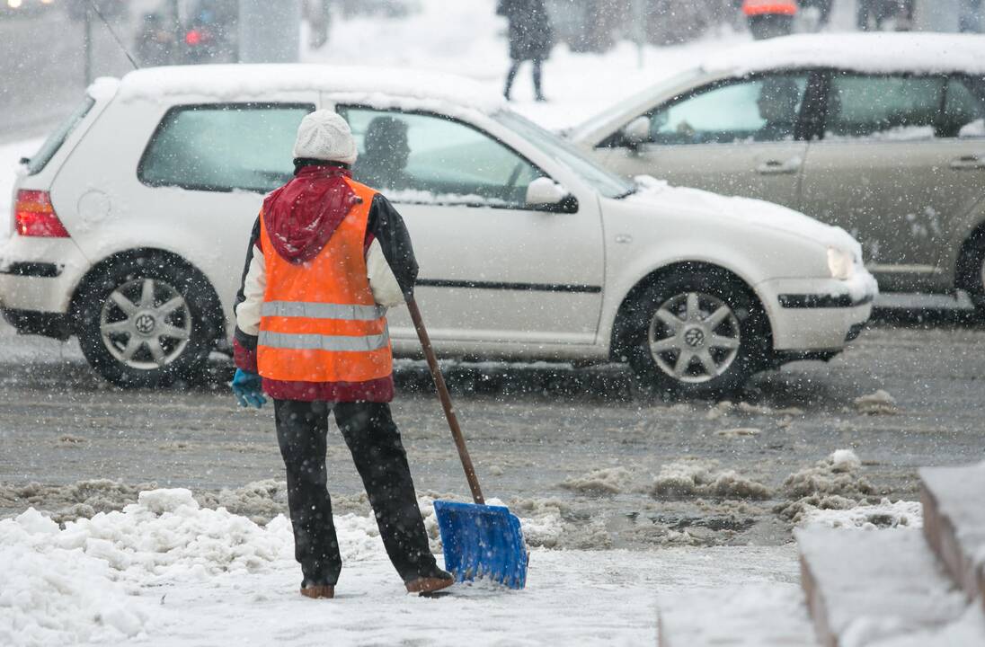 Euro įvedimas paskatino drausti automobilius