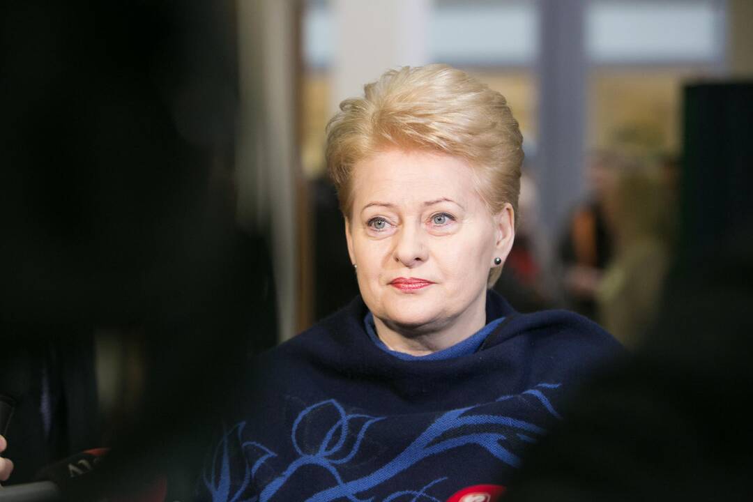 Prezidentė: su ES vadovais aptarsime atsaką į Rusijos dezinformacijos kampaniją