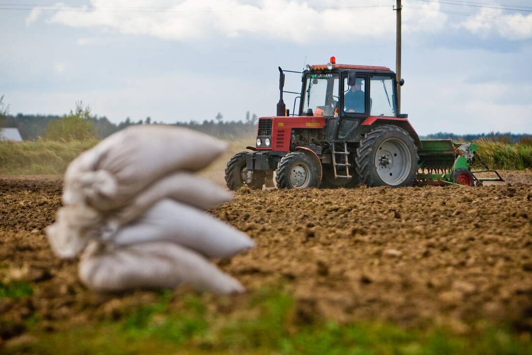 Žemdirbiams padidintas draudimo įmokų kompensavimo intensyvumas