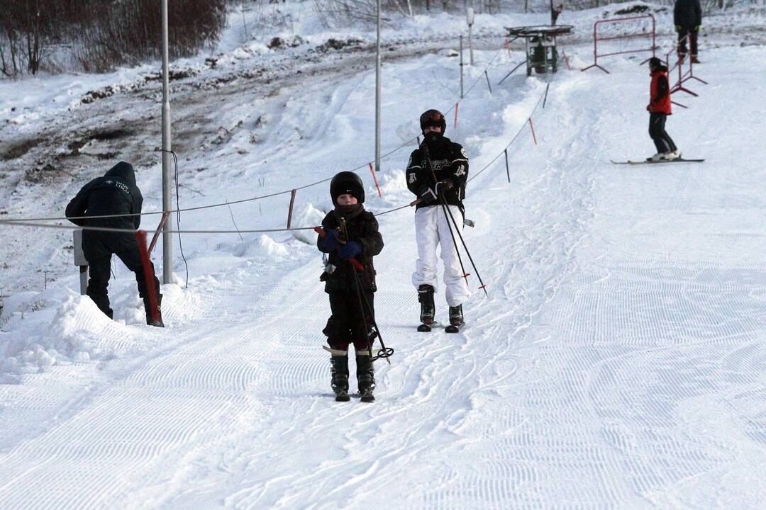 Slidinėjimo trasą Alytus išparduos po gabaliuką