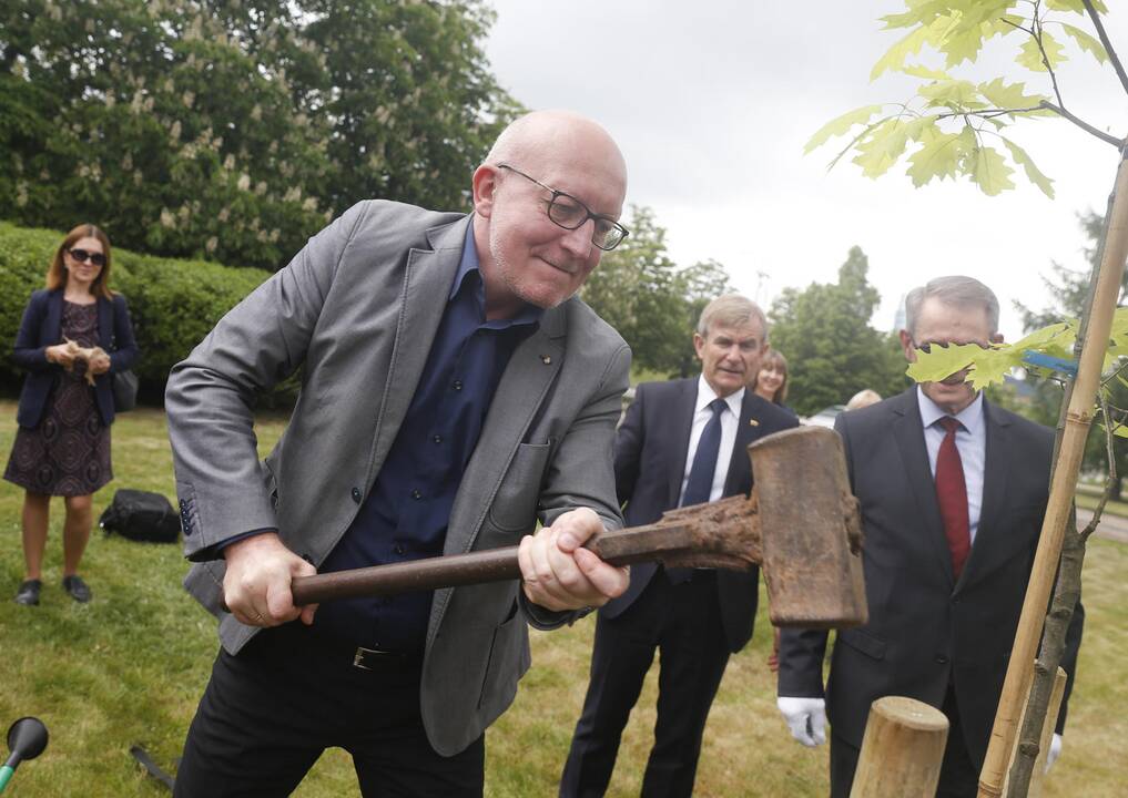 Seimo pirmininkai pasodino ąžuolą