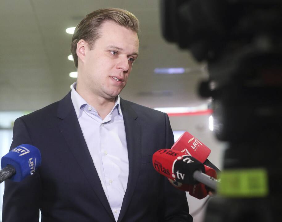 G. Landsbergis stojo į prezidentės pusę: jokios tragedijos dėl knygos nematau