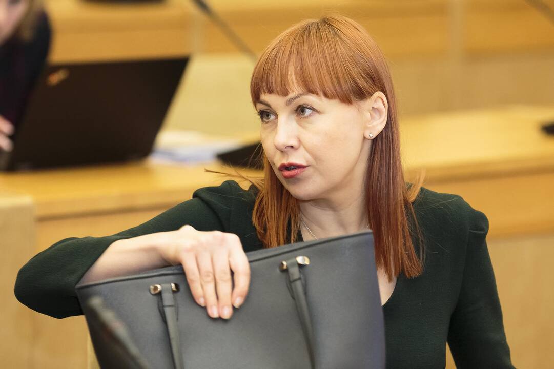 Ministrė: aukštajam mokslui tapus preke, nukentėjo visi