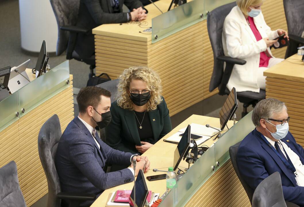 Seime – Partnerystės įstatymo projekto pateikimas