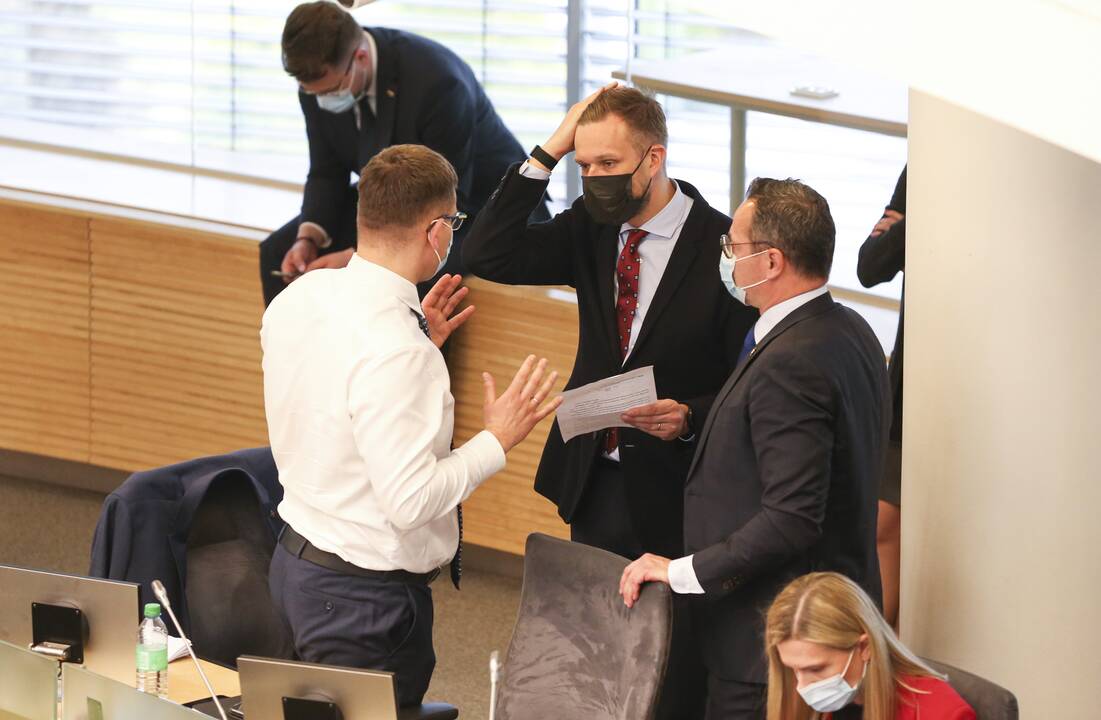 Seime – Partnerystės įstatymo projekto pateikimas