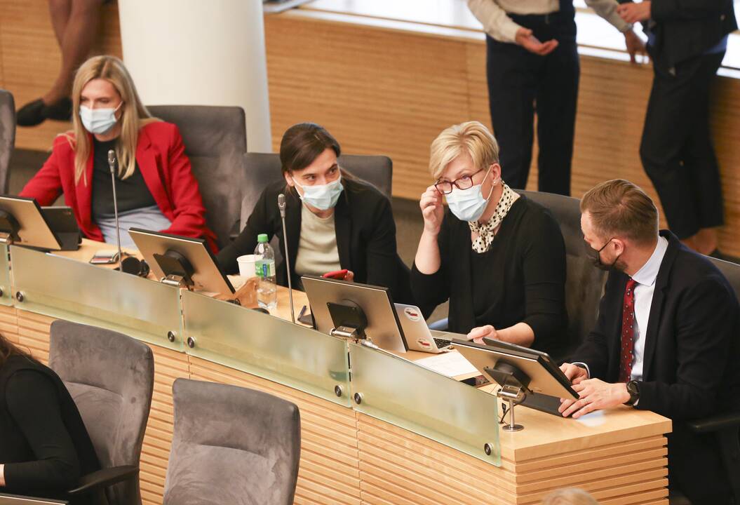 Seime – Partnerystės įstatymo projekto pateikimas