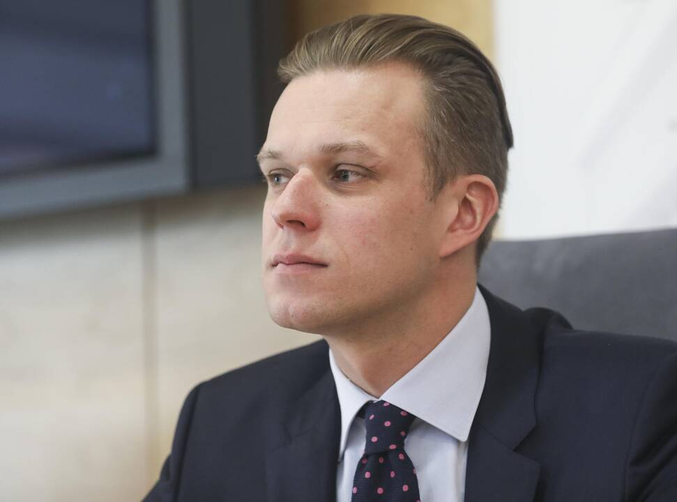 G. Landsbergis: balsavimas dėl pirmalaikių rinkimų galėtų suteikti ramybės