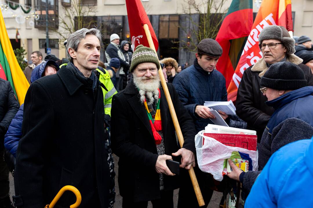 Protestas prie Seimo Sausio 13-ąją