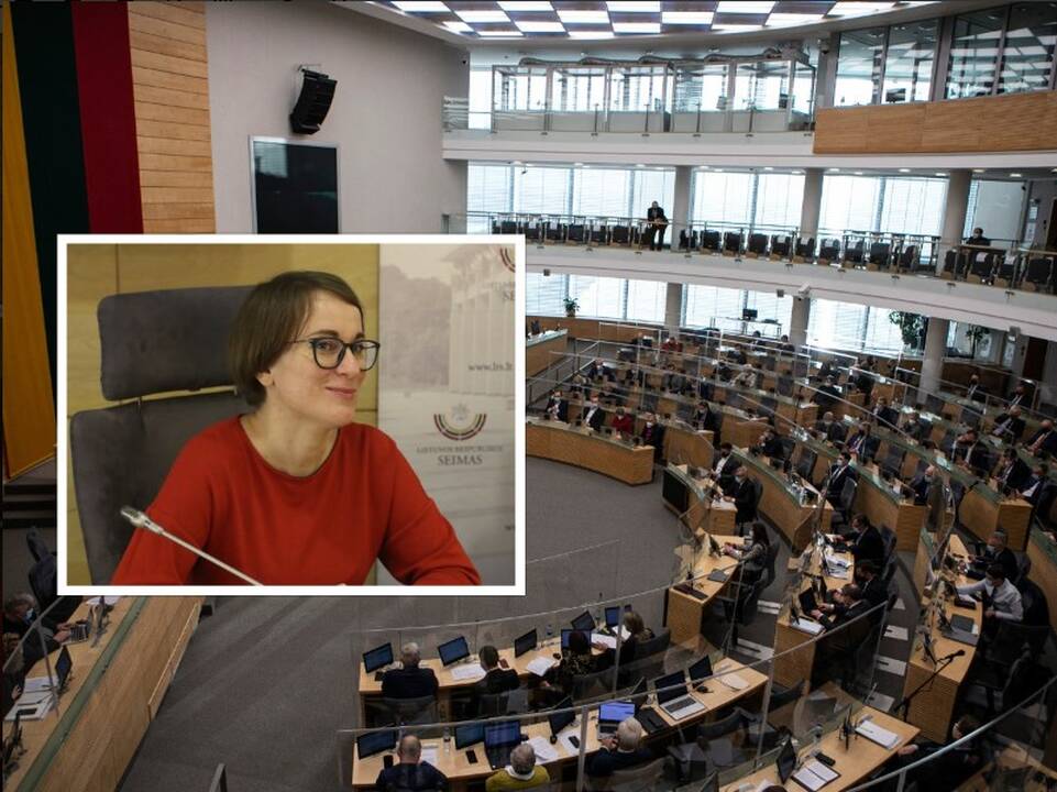 B. Sabatauskaitei Seime skambėjo pastabos ir apie užsienyje sudarytą santuoką su moterimi
