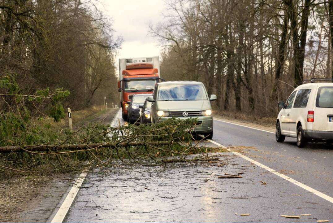 Įspėja gyventojus: naktį prognozuojamas gūsingas vėjas