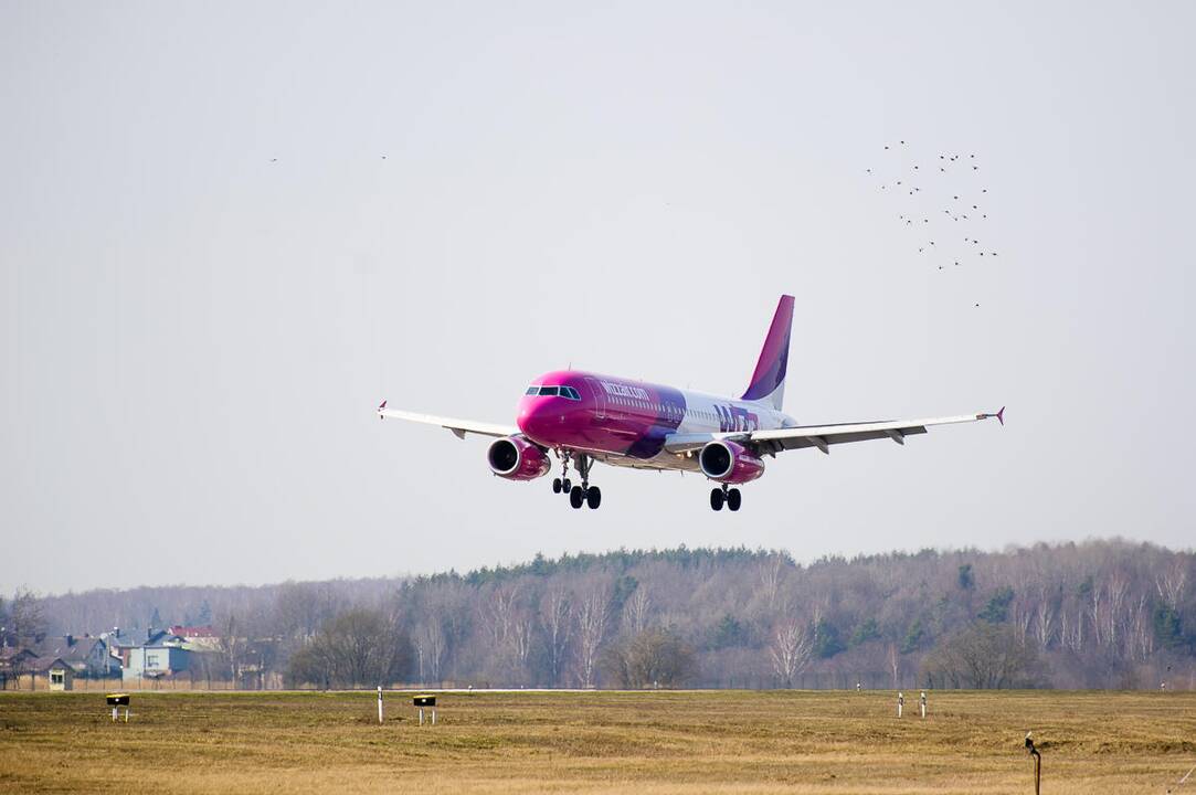 „Wizz Air“ vienai dienai bilietų kainą sumažino 20 proc.