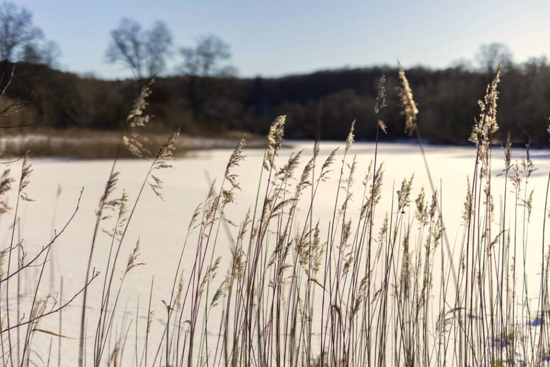 Orai: vėjuotas ir šlapias dienas keis permainos
