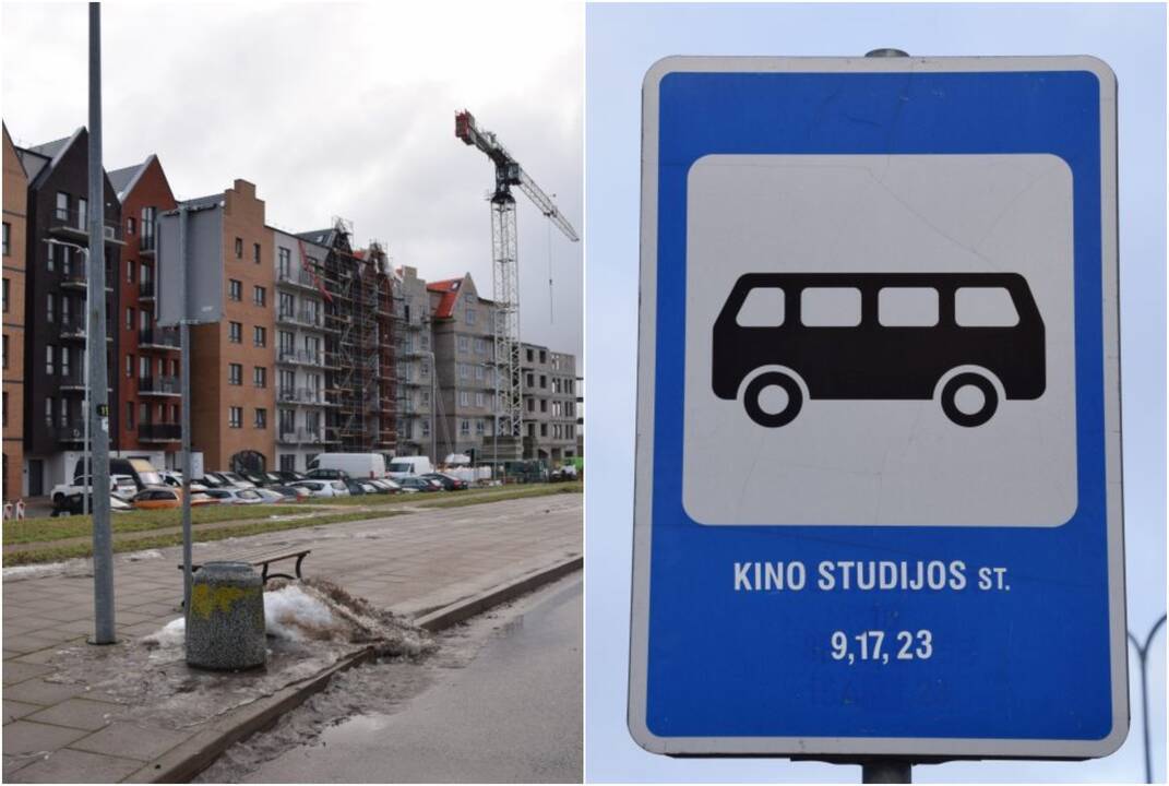 Netikslūs pavadinimai rėžia ausį
