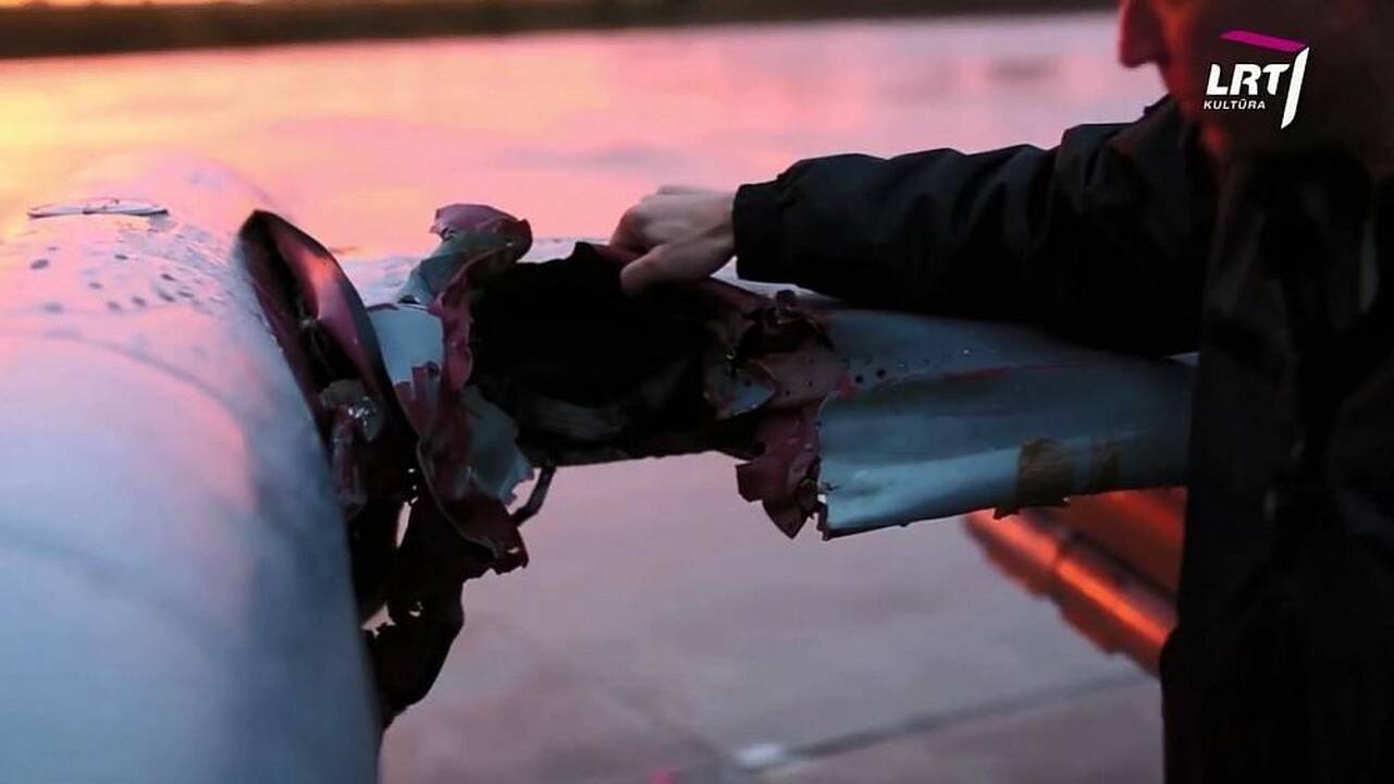 „Mokslo sriuba“: vienas paukštis gali sugadinti lėktuvo variklį
