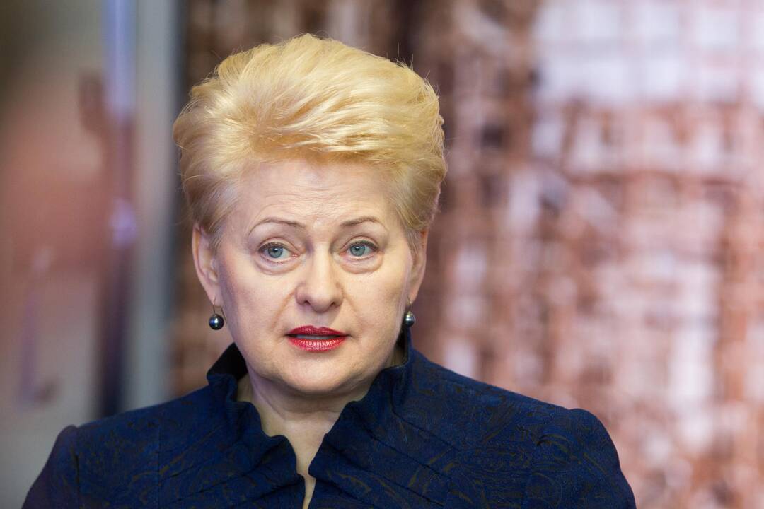 D. Grybauskaitė: pasitikiu Lietuvos teisėsauga