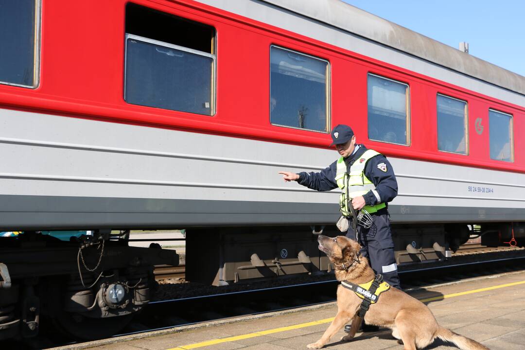 Granulių ir akmens anglies krovinyje aptikta 400 tūkst. eurų vertės baltarusiškų rūkalų