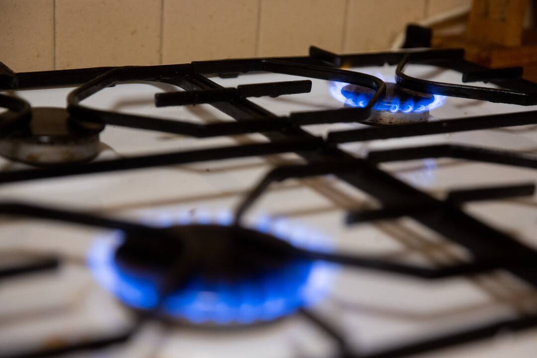 Analitikai piešia liūdną vaizdą: aukštos dujų ir naftos kainos gali laikytis bemaž visus metus