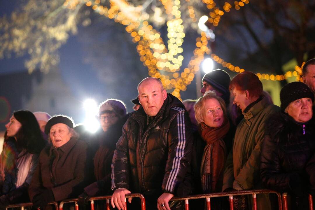 Kauno Rotušės aikštėje įžiebta Kalėdų eglė