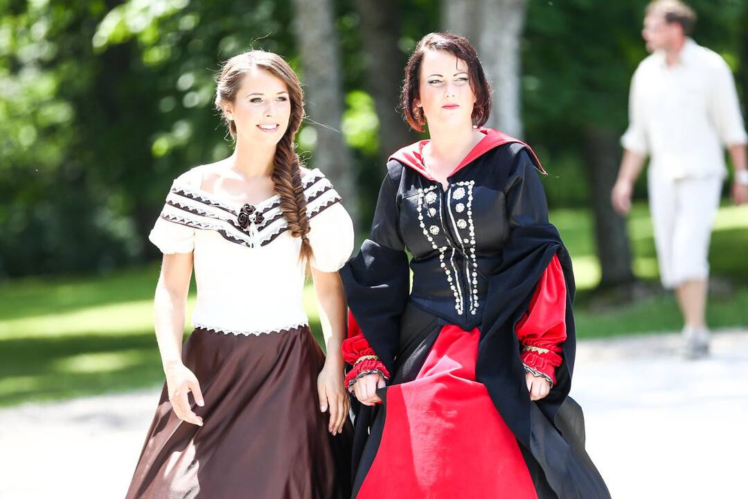 Valstybės gimtadienio šventė Raudondvaryje